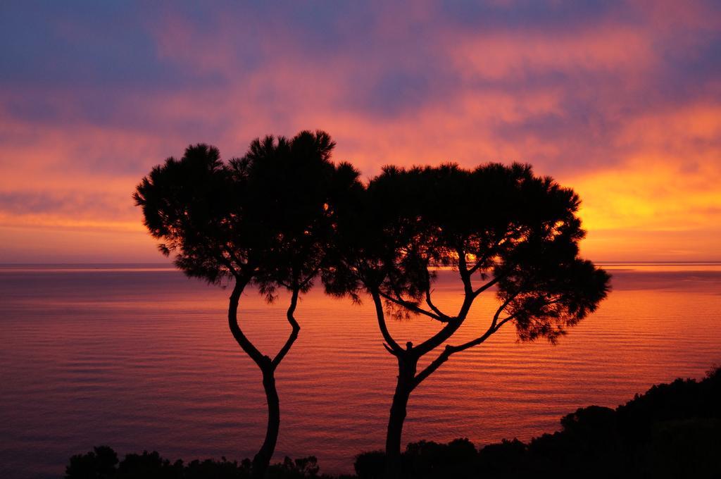 Sea View Sirolo Di Amedeo Bed and Breakfast Buitenkant foto