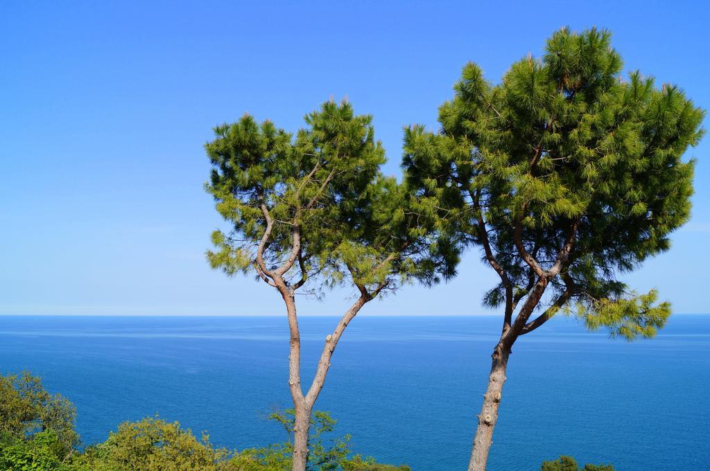 Sea View Sirolo Di Amedeo Bed and Breakfast Buitenkant foto